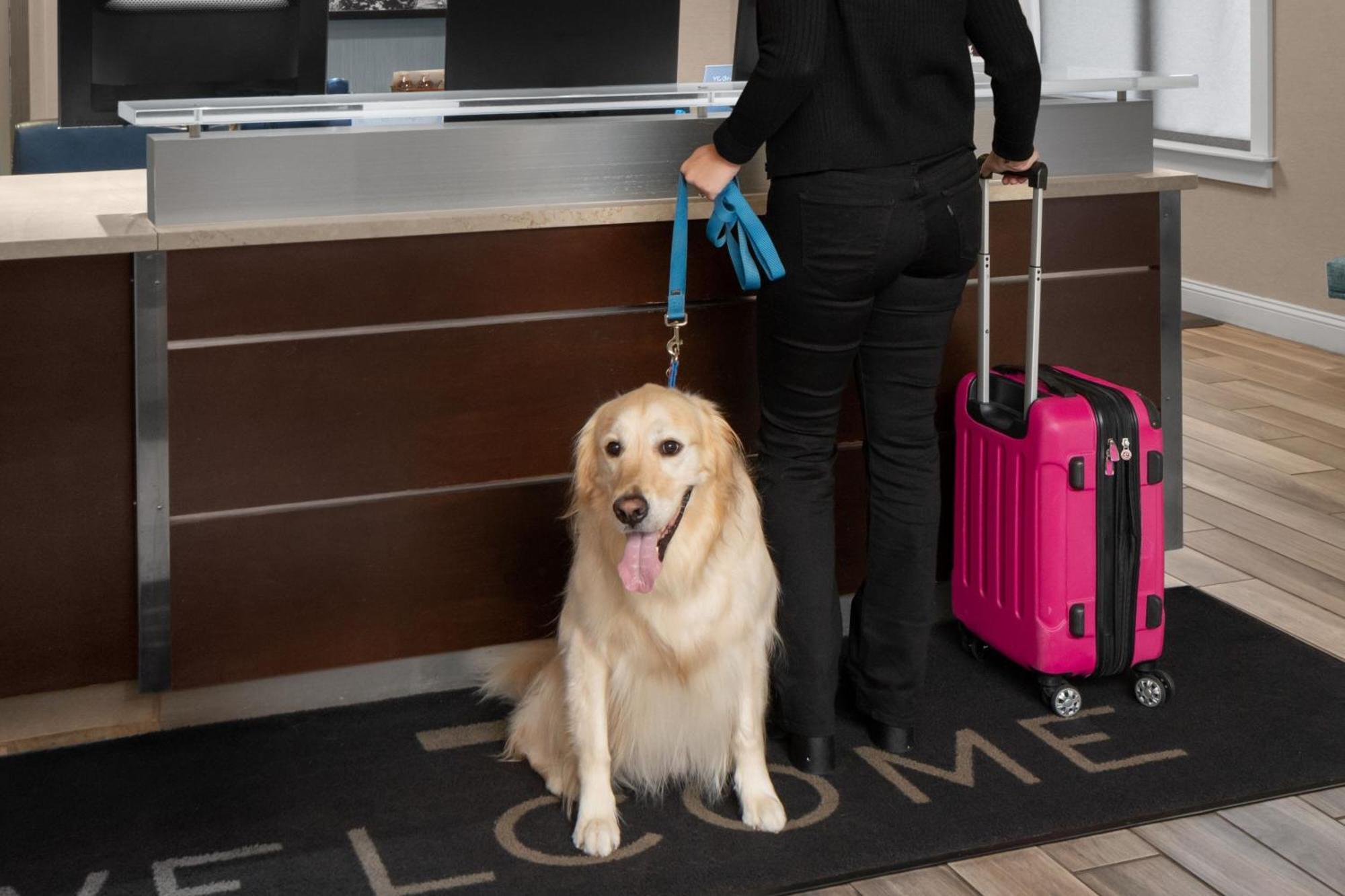 Residence Inn Boston דדהאם מראה חיצוני תמונה